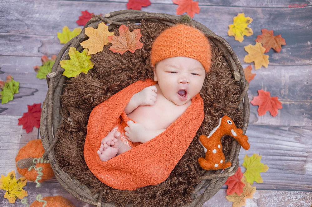 album ảnh newborn 24